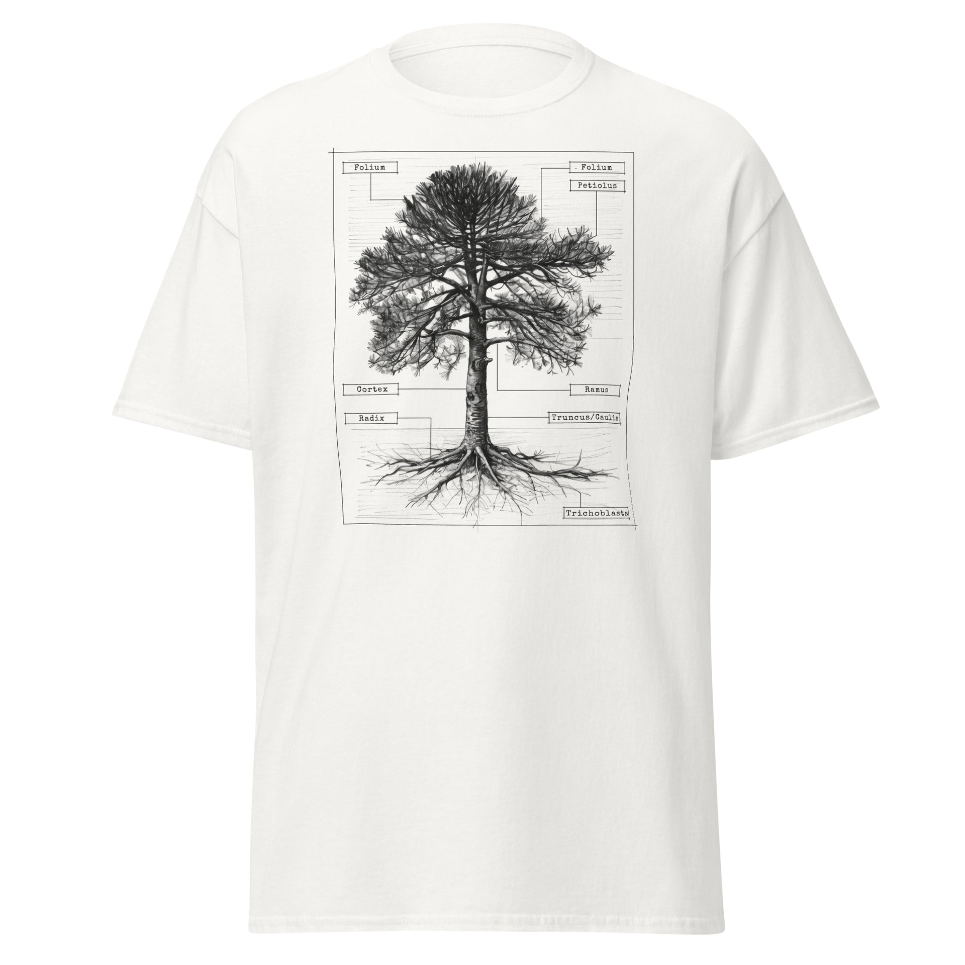Botanical Tree Anatomy Men's T-Shirt