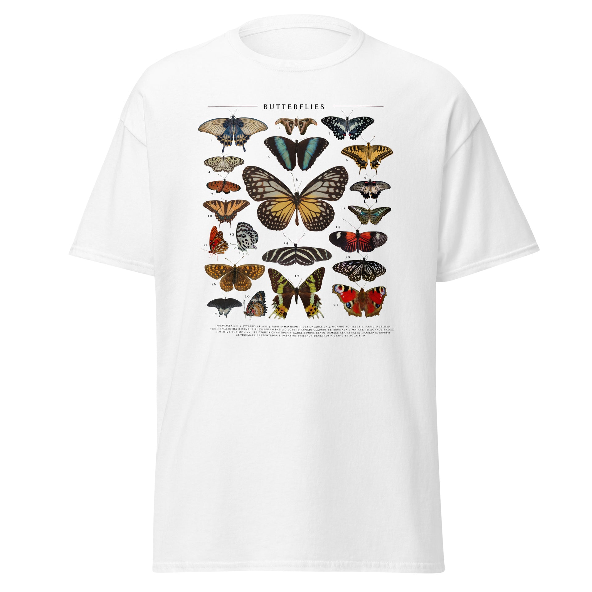 Butterfly Collage Men's T-Shirt